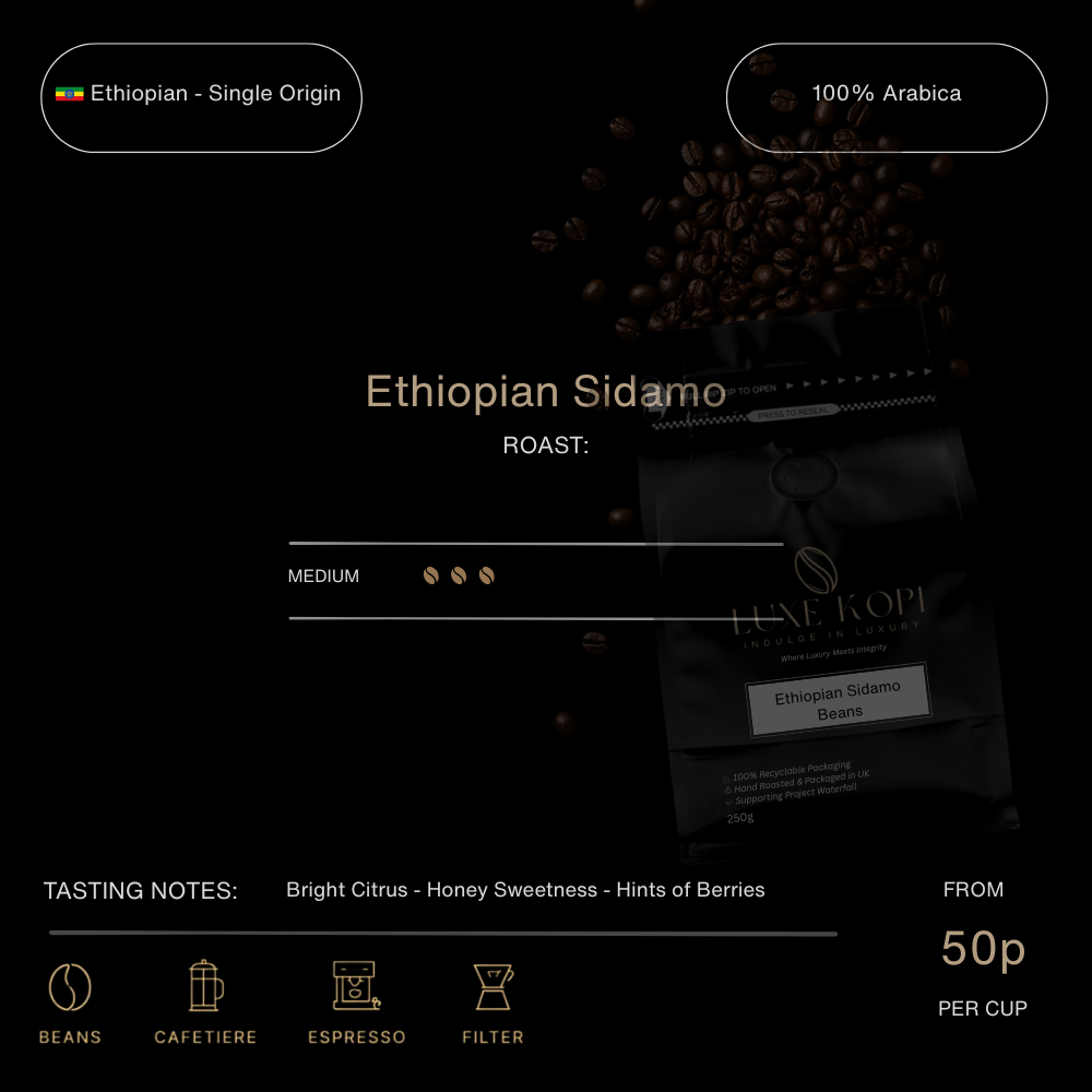 ETHIOPIAN SIDAMO